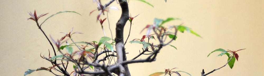 Pingstkyrkan i Boden